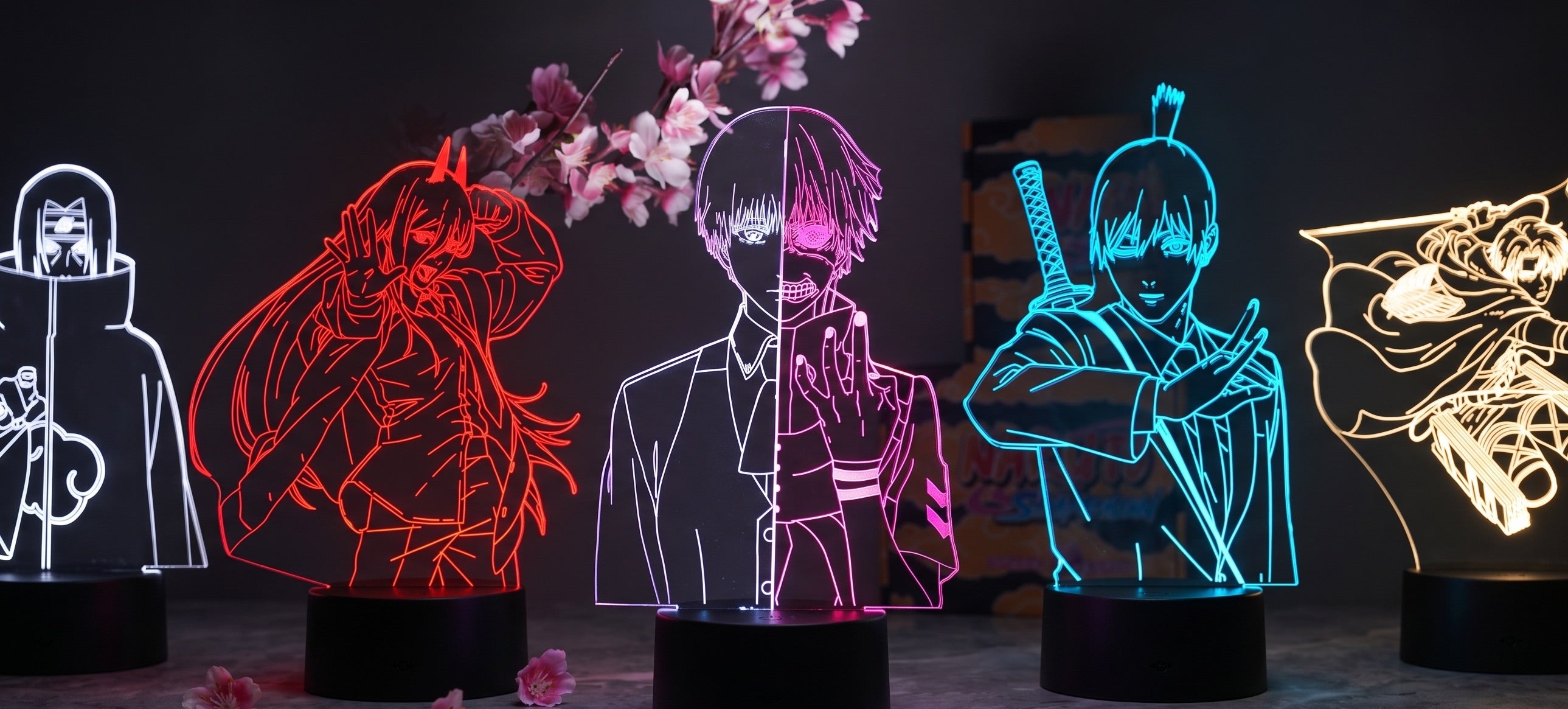 Anime collectibles